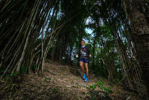 BIB: 
                            <button type="button" onclick="openModal(19395268)" class="btn btn-primary btn-sm float-right btn-popup" data-toggle="modal" data-target=".modal-high-quality">
                        <i class="fas fa-shopping-cart"></i> Add to Cart
                    </button>
                                            <button type="button" onclick="isThisMe(19395268, true)" class="btn btn-success btn-sm float-right btn-popup btn-isme hidden" data-toggle="tooltip" data-placement="bottom" title="นี่คือรูปของคุณใช่ไหม คลิกที่นี่เพื่อเอาเข้าอัลบั้ม">
                        <i class="fas fa-plus"></i> Add to album
                    </button>
                    <button type="button" onclick="isThisMe(19395268, false)" class="btn btn-warning btn-sm float-right btn-popup btn-isnotme hidden">
                        <i class="fas fa-ban"></i> Remove from album
                    </button>